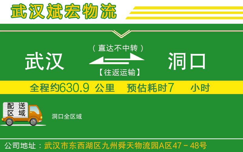 武漢到洞口貨運公司